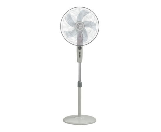 Stand Fan
