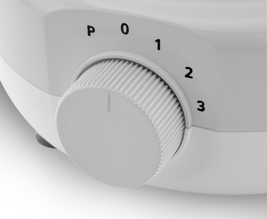 Mixer Grinder