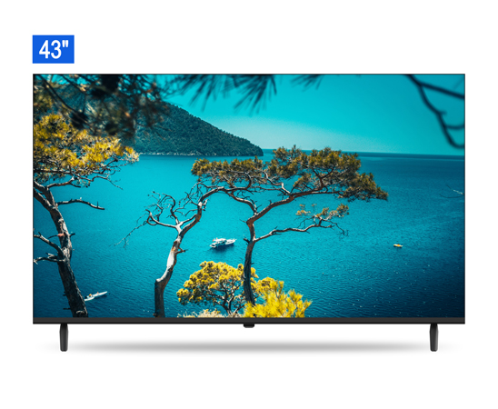 43″ LED FHD TV
